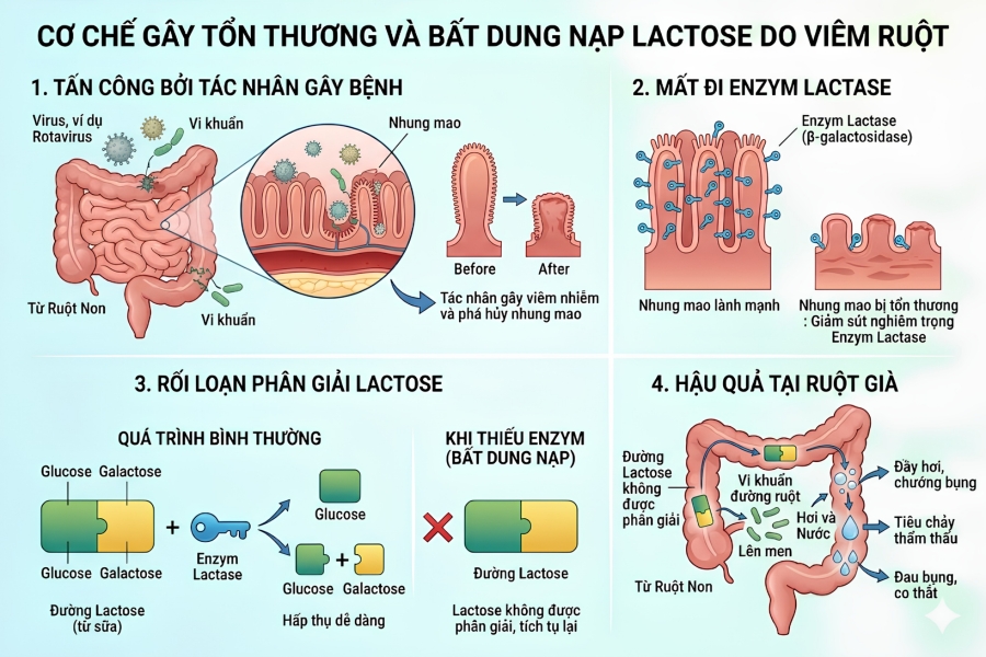Nguyên nhân trẻ uống sữa bị tiêu chảy 
