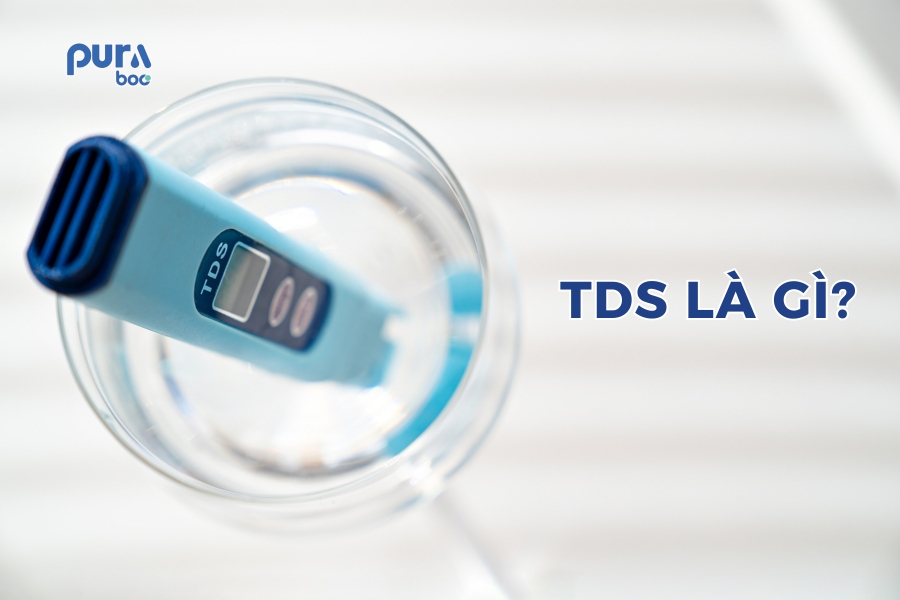 TDS là gì?